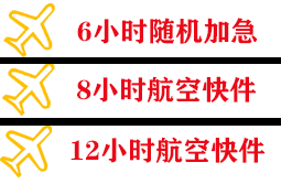阿里普兰空运代理快递公司,专业空运当天件
